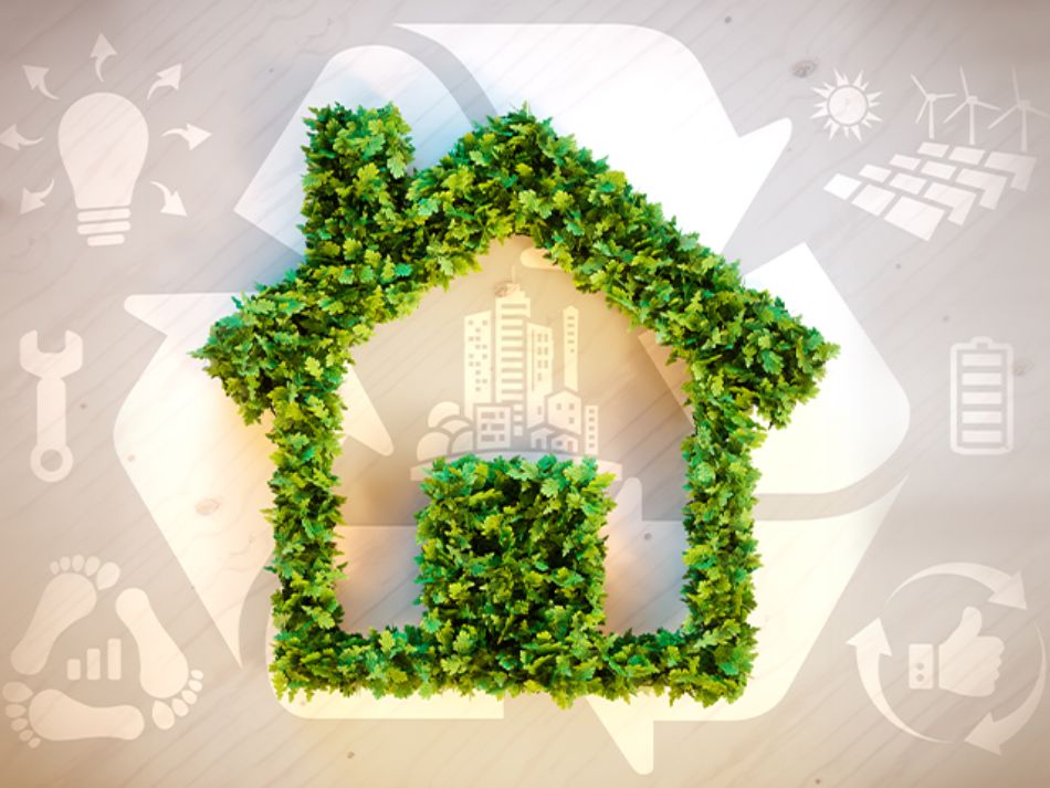Renewable energy for your home: the best choice for an expat